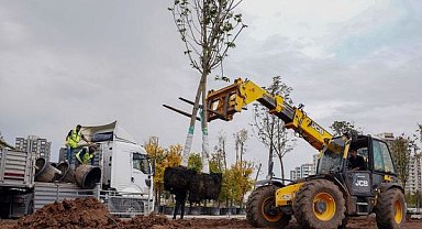 Diyarbakır’da 9 bin 70 ağaç ve 50 bin 200 çalı dikildi