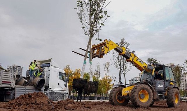 Diyarbakır’da 9 bin 70 ağaç ve 50 bin 200 çalı dikildi