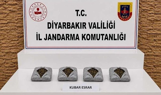 Diyarbakır’da uyuşturucu operasyonlarında 57 bin 702 kök kenevir ele geçirildi