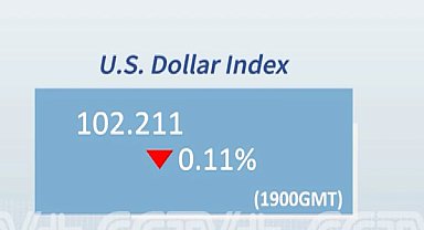 Dolar endeksi yüzde 0,11 geriledi