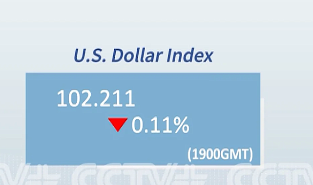 Dolar endeksi yüzde 0,11 geriledi