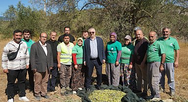 Edremit’te 2026-2027 sezonunun ilk zeytin hasadı başladı