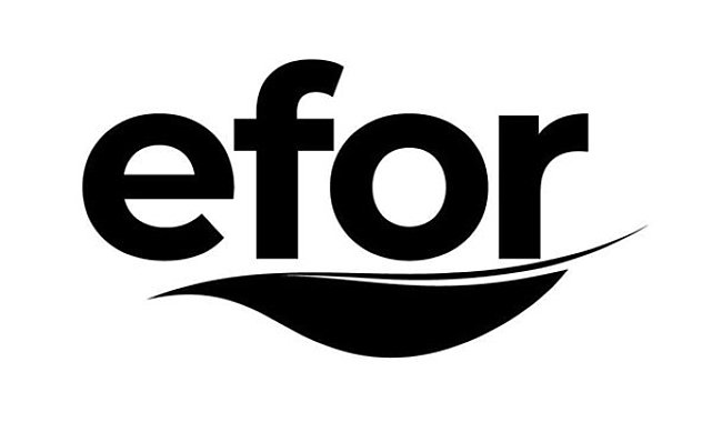 Efor Holding'in Efor Yatırım'daki pay alım limiti 5 milyar TL'ye yükseltildi
