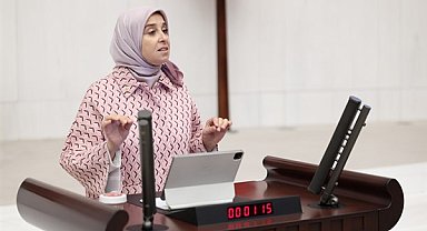 Esen: Meclis kamu makamlarının idari ve siyasi sorumluluğunu araştırsın