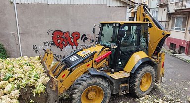 Gemlik’te 10 tondan fazla bozulmuş karnabahar toplandı