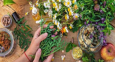 İstanbul’da 40 kadın tıbbi ve aromatik bitki yetiştiriciliği eğitimi aldı