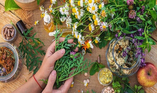 İstanbul’da 40 kadın tıbbi ve aromatik bitki yetiştiriciliği eğitimi aldı