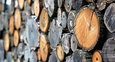 Meşe kerestesi ithalatına ilişkin kısıtlamaların kaldırılmadı