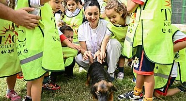 Muratpaşa’da 287 sokak hayvanı yeni yuvasına kavuştu