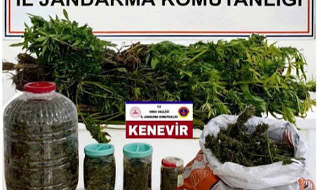 Ordu’da uyuşturucu operasyonu