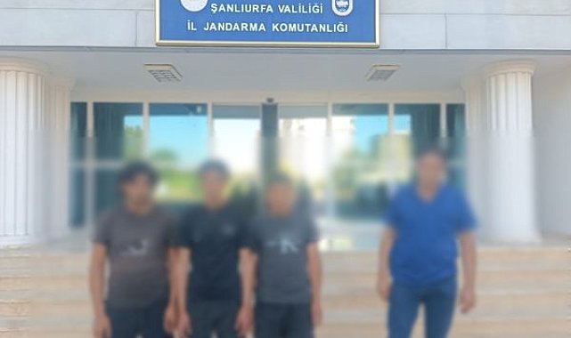 Şanlıurfa’da göçmen kaçakçılığı operasyonu: 9 şüpheli hakkında işlem başlatıldı