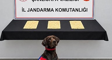 Şanlıurfa’da uyuşturucu operasyonu: 2 bin 970 Captagon hap ele geçirildi