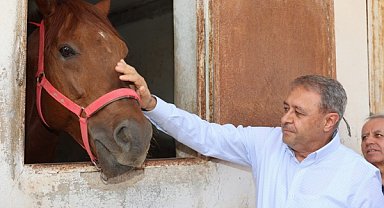 Şıldak, Suruç’ta Arap atı yetiştiriciliğinin geliştirilmesini hedeflediklerini belirtti