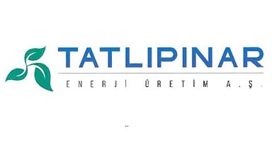 Tatlıpınar Enerji'nin TEİAŞ davası