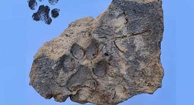 Tavşanlı Höyük’te 4 bin yıllık pati izleri bulundu