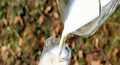 TÜİK: Ticari süt işletmelerince ağustosta 1 milyon 21 bin ton inek sütü toplandı