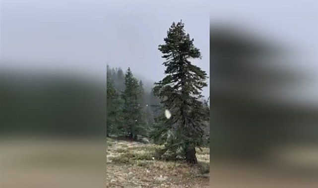Uludağ’da kısa süreli kar yağışı görüldü