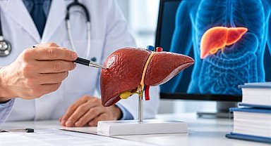 Uzm. Dr. Uzel’den karaciğer sağlığı için FIB-4 skoru uyarısı