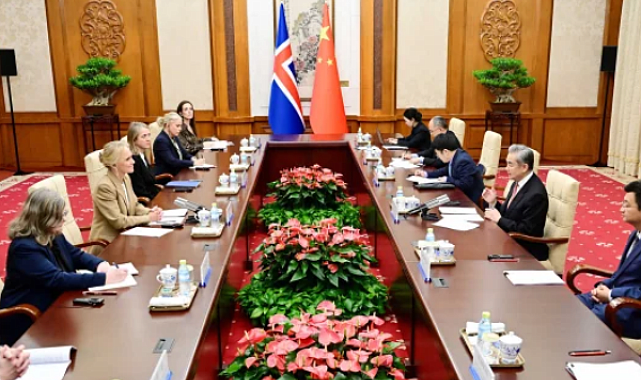 Wang Yi, İzlanda Dışişleri Bakanı Gunnarsdottir ile görüştü