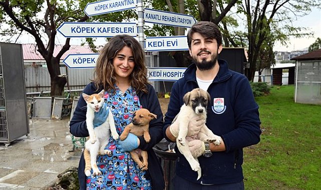 Yalova Belediyesi sahipsiz hayvanların bakım ve tedavilerini sürdürüyor