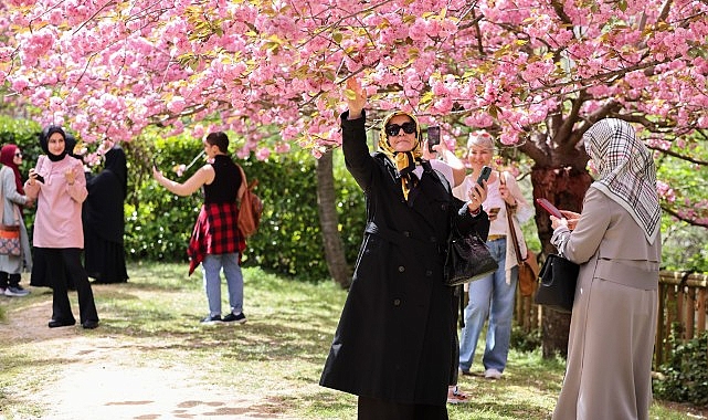 İstanbul Baltalimanı'ndaki Japon Bahçesi ziyaretçilerini hayran bırakıyor