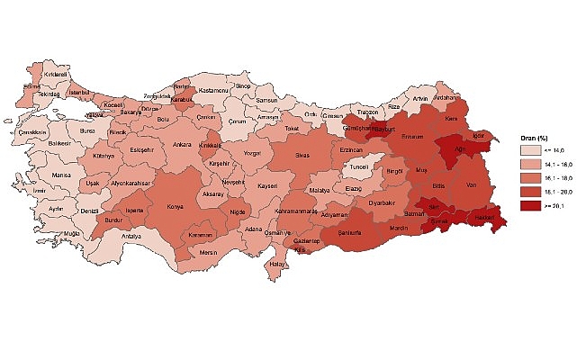 Tüik: Türkiye nüfusunun %15,1'ini genç nüfus oluşturdu